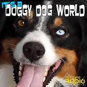 It's A Doggy Dog World - Dog Podcast - Pet Life Radio Original by Pet Life Radio