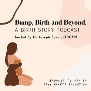 Bump, Birth and Beyond by Tiny Hearts Education
