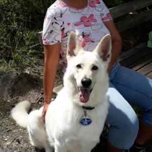 Blind, aber wie? by Elisabeth Vietz