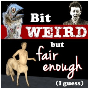 Bit Weird but Fair Enough (I Guess) by The Angry Chimp