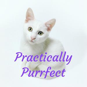 Practically Purrfect by Carrie Pawpins