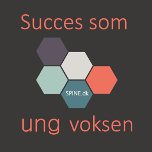 Succes som ung voksen by Thomas Pape og Tine Persson