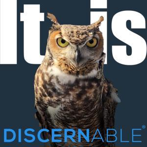 It is Discernable® by Matt Wong