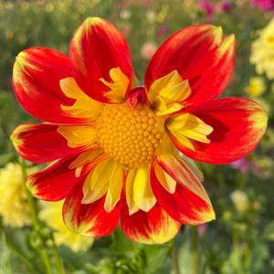 Read and Draw with Jess and Eliot by Jess and Eliot