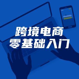 跨境电商零基础入门20讲 by 跨境电商宇宙团团长