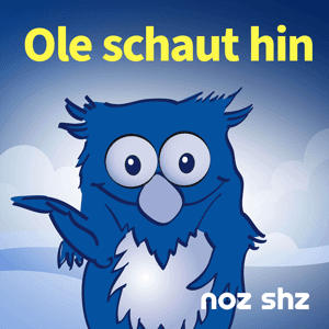 Ole schaut hin by noz/shz