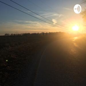 Morning Bird Songs by H. Hemphill