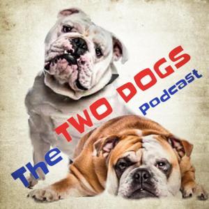 The Two Dogs Podcast by Howdy Partners Media