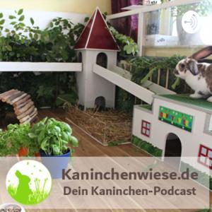 Kaninchenwiese.de Dein Kaninchen-Podcast by Kaninchenwiese