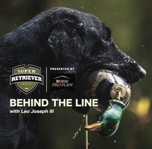 Super Retriever Series "Behind the Line" by Shannon Nardi