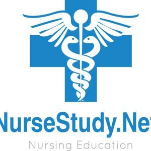 NurseStudy.Net by Anna @ NurseStudy.Net