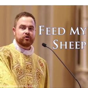 Feed My Sheep by Father Corey D. Bruns