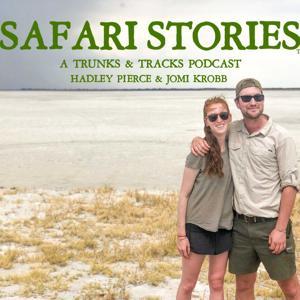 Safari Stories by Trunks and Tracks