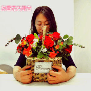 两周打好语法基础|高考满分宝典 by 英语老师刘雪