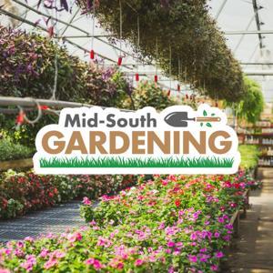 Mid-South Gardening Podcast by KWAM990