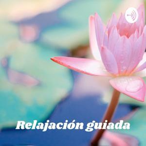 Relajación guiada: Suelta Tensiones Y Facilita El Buen Dormir by Francisca Ritchie Vega