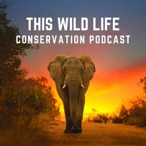 This Wild Life Conservation Podcast by Amy Turner