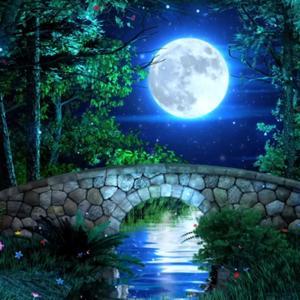 Divine Healing by Kim Greenwood