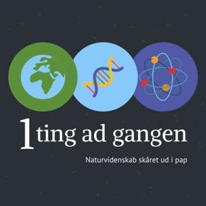 1 ting ad gangen - Naturvidenskab skåret ud i pap by Villads Lundsteen Jacobsen & Tobias Wang Bjerg