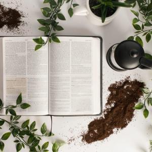 Audio Bible (KJV) by Audio Bible