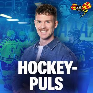 Hockeypuls by Expressen