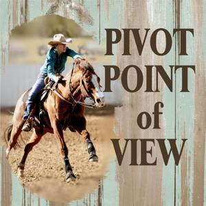Pivot Point of View by Pivot Point