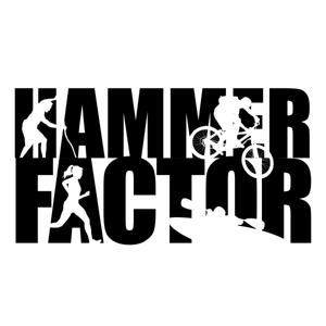 The Hammer Factor by The Hammer Factor