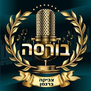בורסה והשקעות by צביקה ברגמן - המוח