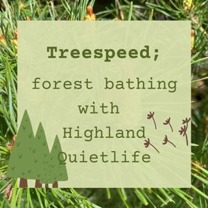 Treespeed; forest bathing with Highland Quietlife by highlandquietlife