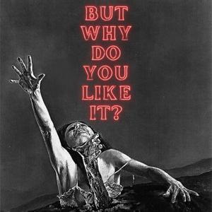 But Why Do You Like It? by Zak Goeringer