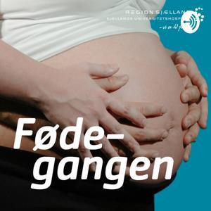 Fødegangen by Sjællands Universitetshospital
