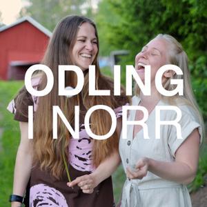 Odling i norr by Anna & Jennie