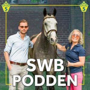 SWB Podden by Elisabet Ernblad & Gustaf Johansson, SWB