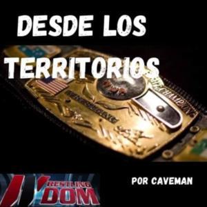 Desde los Territorios by Luis Cuevas
