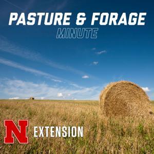 Pasture and Forage Minute by University of Nebraska-Lincoln