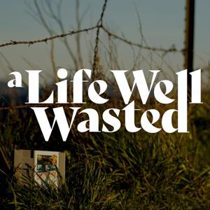 A Life Well Wasted by Robert Ashley