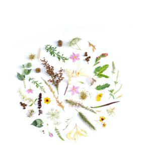 أذكار الصباح by Ibrahim Mousa