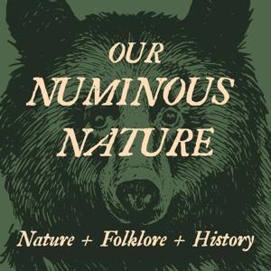 Our Numinous Nature by Philippe G. Willis