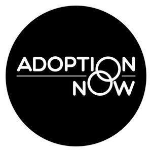 ADOPTION NOW by April Fallon