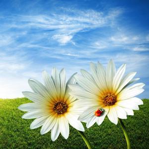 老虎工作室 by 老虎工作室