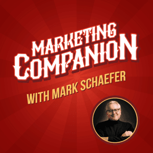 The Marketing Companion by Mark Schaefer