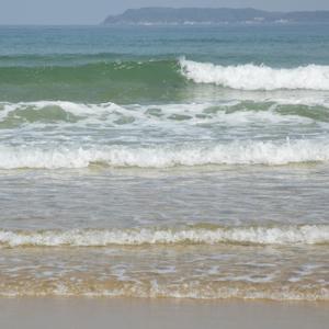 おとひろい by セイノスケ