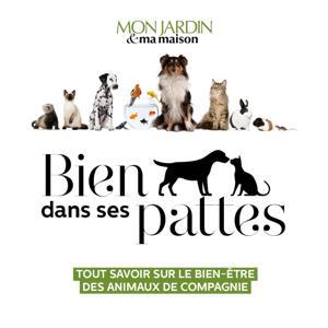 Bien dans ses pattes by Mon Jardin Ma Maison