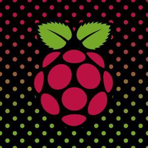 Raspberry Pi by Adafruit Industries