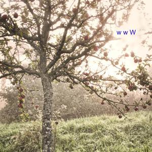 wage wilde Wege – der #freiraumpodcast für feinfühlige Menschen by Dr. Tony Hofmann