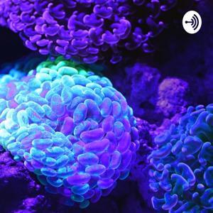 EPILEPSIA: CONÓCELA Y ACTÚA by Rubi Angelino