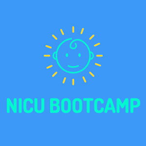 NICU Bootcamp by Dr. Kirsti Martin