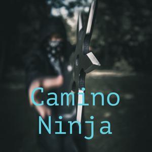 Camino Ninja by Geovanni R León