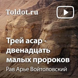 Рав Арье Войтоловский — Книга Пророка Ошеа — одного из двенадцати «малых пророков». by toldot.com