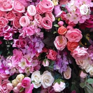 K Voice by golden girl komal